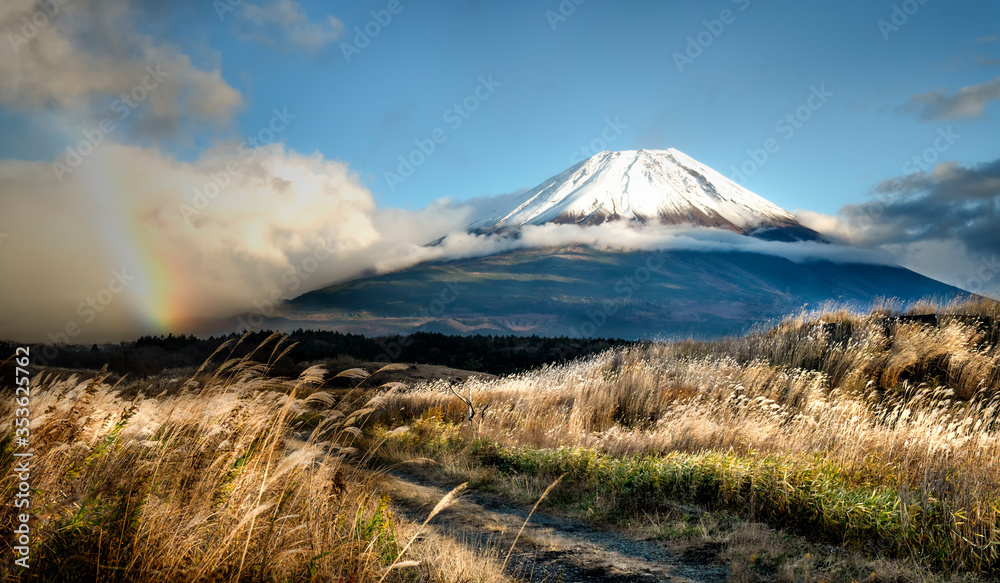 Mount Fuji on a pasture in Japan.