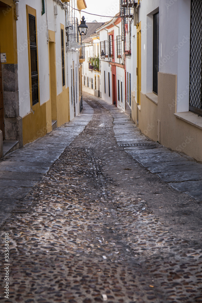 Obraz premium Street with white and yellow facades of the city of Cordoba