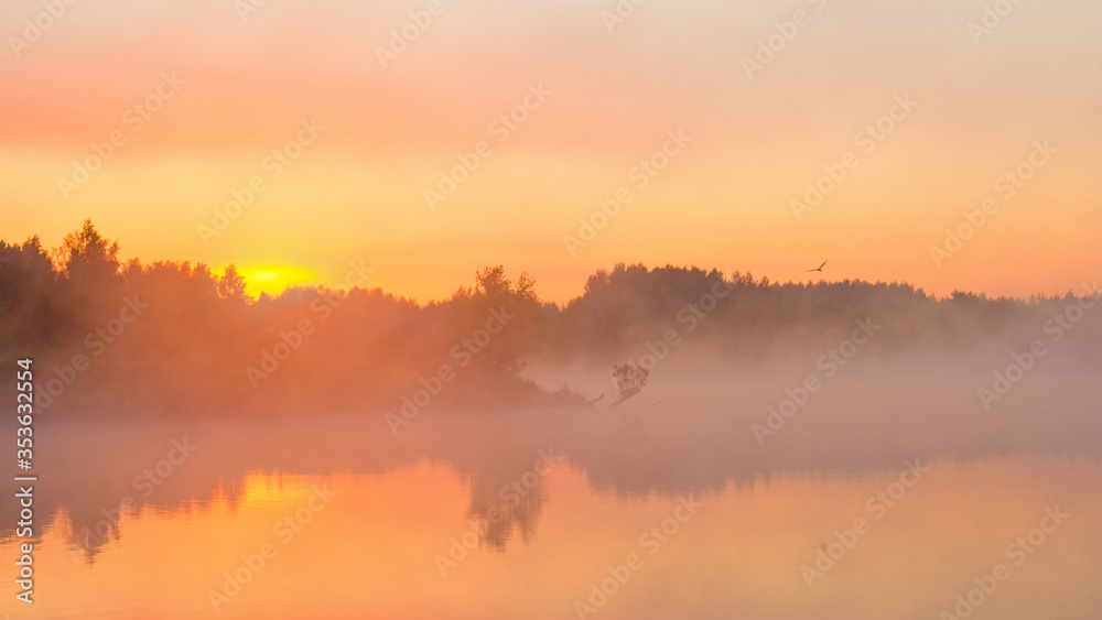 foggy summer sunrise over the lake