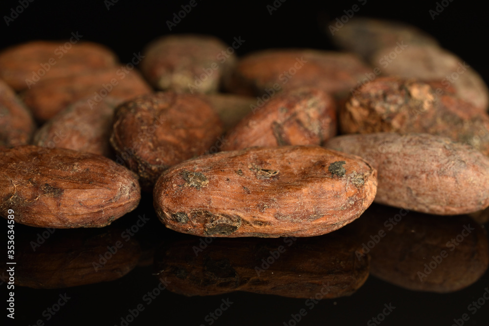 Organic, natural cocoa beans, close-up, on a white background. Organic, natural cocoa beans, close-up, on a white background.