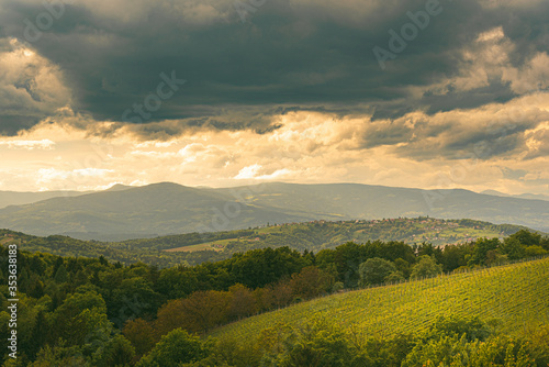 Austria vineyards in spring landscape. Leibnitz area in south Styria  wine country.