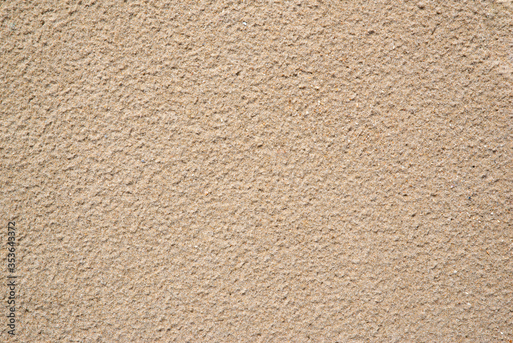 background texture sea sand wet beige close-up
background texture sea sand wet beige close-up