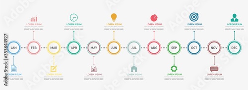 Timeline for 12 months, Infographic template for business.