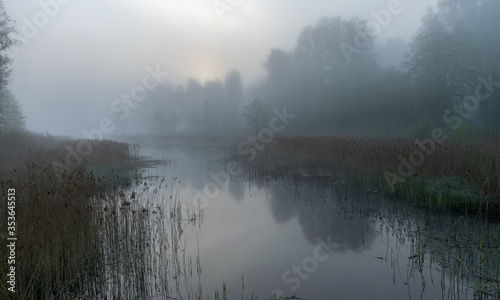 landscape with fog in the morning, mystical fog on the river, blurred grass and tree contours