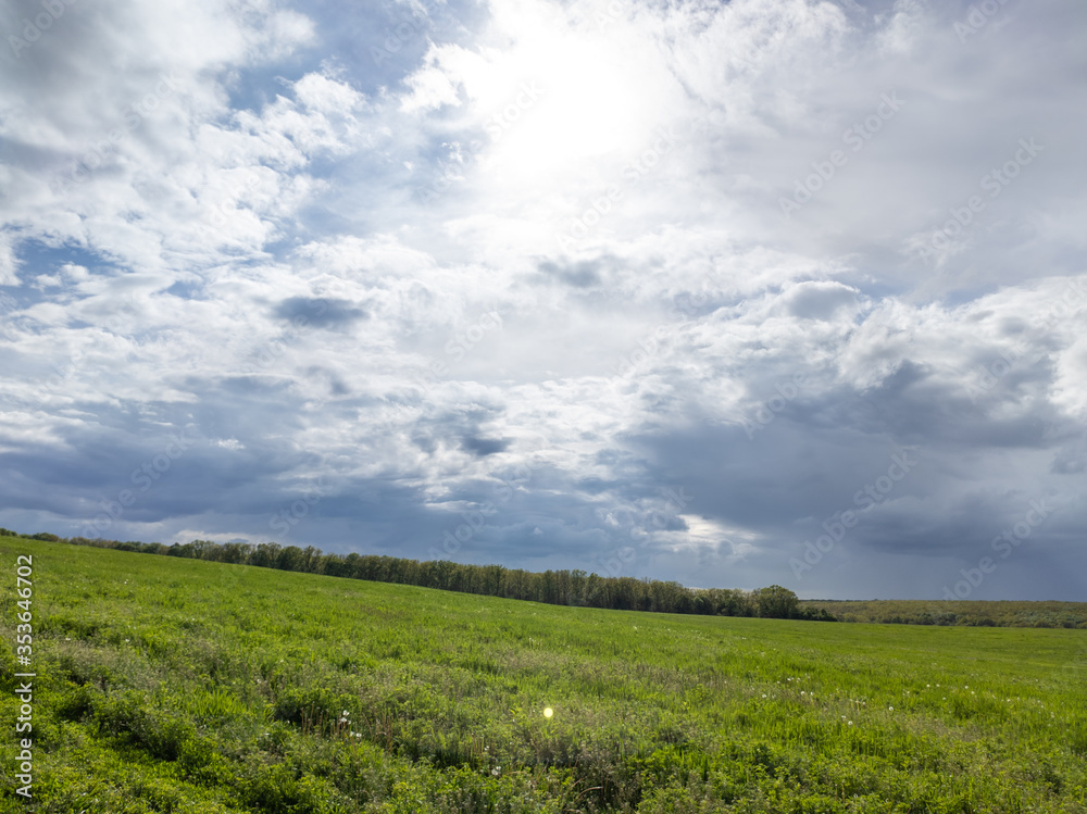 Green grass field in bright sunlight under dramatic cloudy sky. Unreal meadow close view in spring rainy day