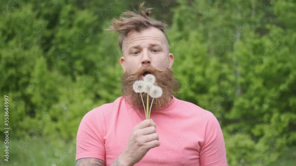 man with beard and mustache with flower, man blows on dandelion and looks at camera smiling .Sunny summer weather, good mood, funny moment, pink t-shirt,slow mo man with beard and mustache with flower, man blows on dandelion and looks at camera smiling .Sunny summer weather, good mood, funny moment, pink t-shirt,slow mo