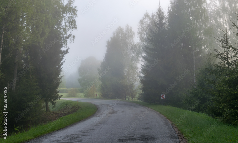 landscape with an empty road turn, along the edges of tree silhouettes in the fog landscape with an empty road turn, along the edges of tree silhouettes in the fog