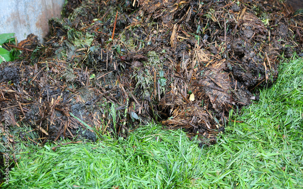 Compost. Rotted brown mass and green grass waste. Organic waste. Compost. Rotted brown mass and green grass waste. Organic waste.