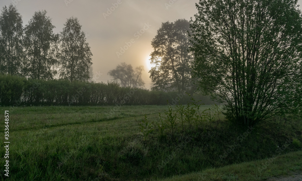 landscape, beautiful morning with fog, houses and trees silhouettes in the fog landscape, beautiful morning with fog, houses and trees silhouettes in the fog