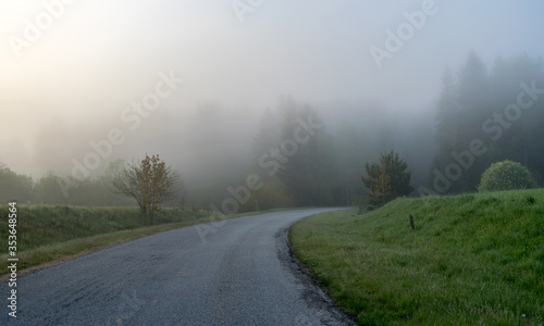 landscape with an empty road turn, along the edges of tree silhouettes in the fog