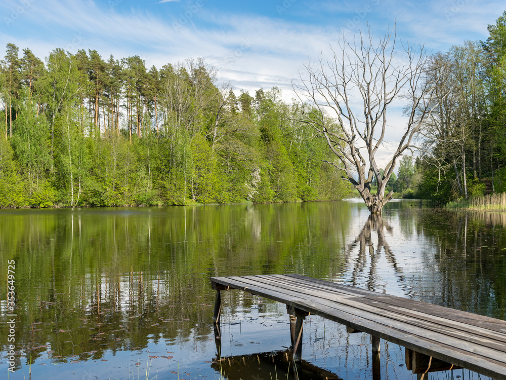 a lonely dead oak in a flooded lake, a wooden footbridge in the lake a lonely dead oak in a flooded lake, a wooden footbridge in the lake