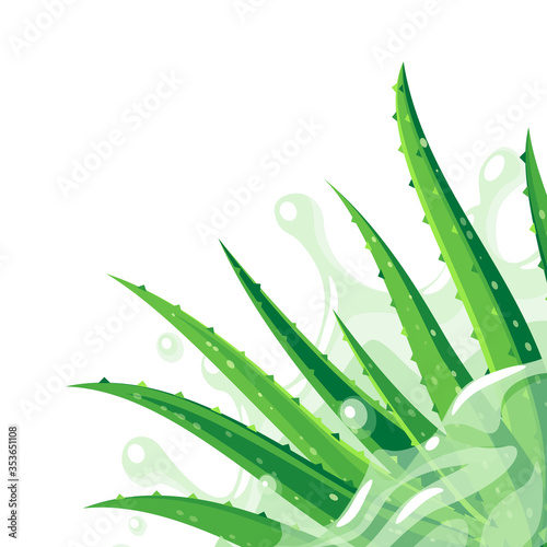 Aloe vera plant in the splash of water. Skin care product packaging label design template. Vector illustration flat cartoon icon in corner.