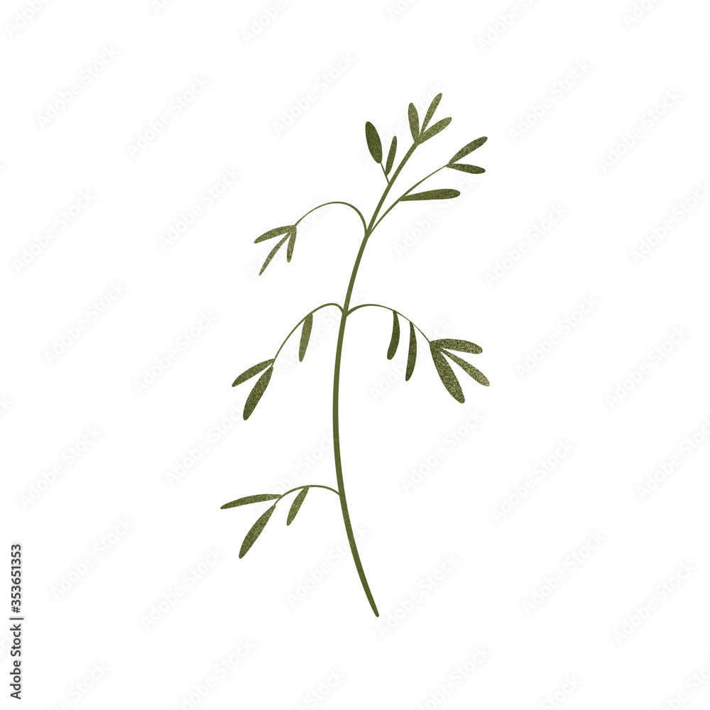 Fototapeta premium Cute sprig of grass. Textural digital art flat position, top view. Print for wrapping paper, packaging, fabrics, decoration, web, invitation, wedding, banners, stickers.
