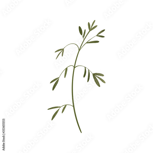 Fototapeta Naklejka Na Ścianę i Meble -  Cute sprig of grass. Textural digital art flat position, top view. Print for wrapping paper, packaging, fabrics, decoration, web, invitation, wedding, banners, stickers.