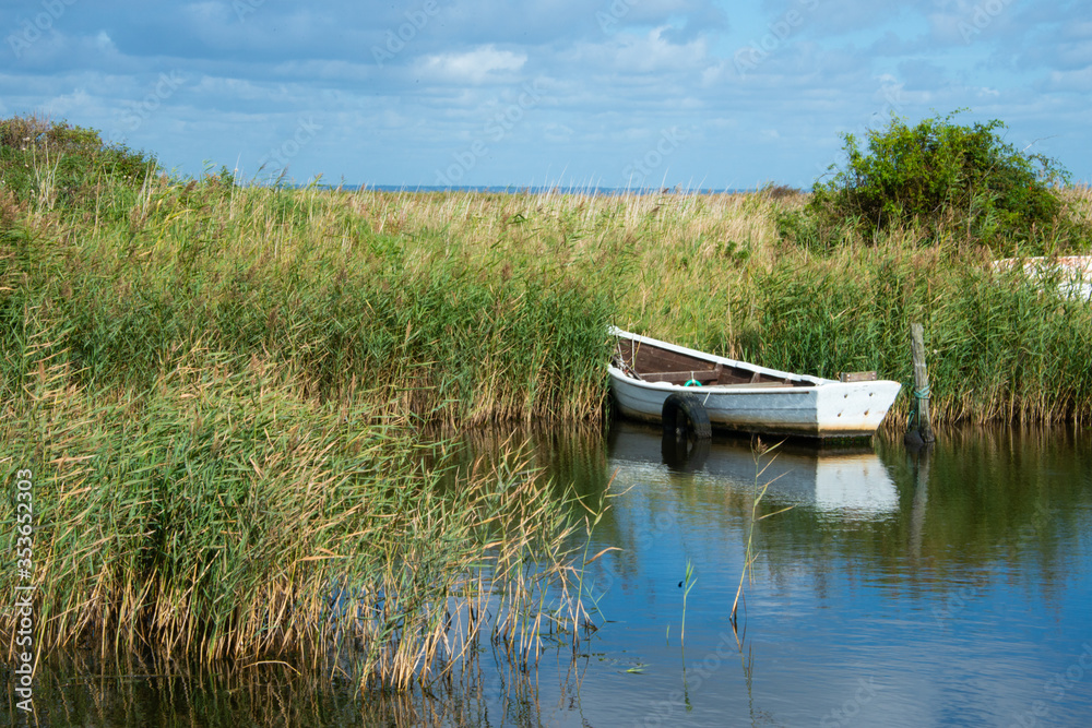 Fototapeta premium Fjordlandschaft: ein weißes einsames Holzboot mit Rudern liegt vertäut im Schilf auf einem dänischen Fjord