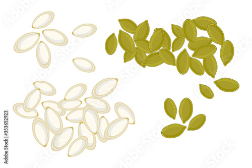 Pumpkin seeds isolated on white background. Whole and peeled pumpkin seeds. Roasted pumpkin seeds in cartoon style, top view. For template label, packing and emblem farmer market design. Stock vector