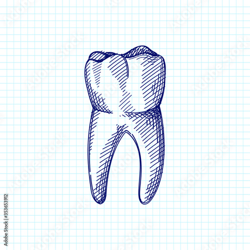 Hand-drawn sketch of whole tooth on a white background. Dental instruments. Dentistry tools and equipment. Stomatology attributes	

