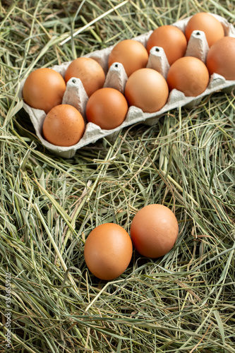 chicken eggs in a tray