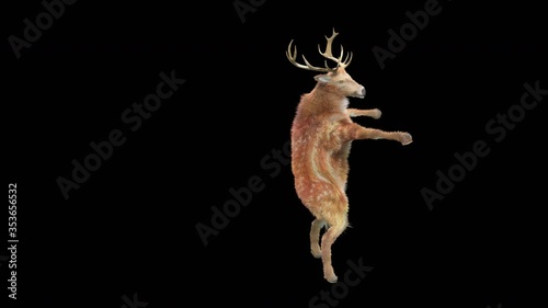 Deer Dance CG fur 3d rendering animal realistic CGI VFX Animation Loop  composition 3d mapping cartoon, with Alpha matte