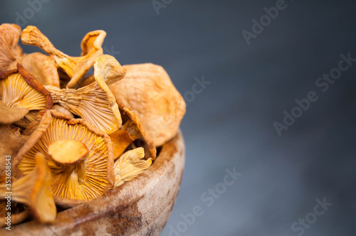 Dried chanterelle mushrooms close-up on a gray background with place for text.
