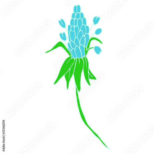 Vector. Aconitum flowers. Contours of flowers. Vector decor for wedding invitation.