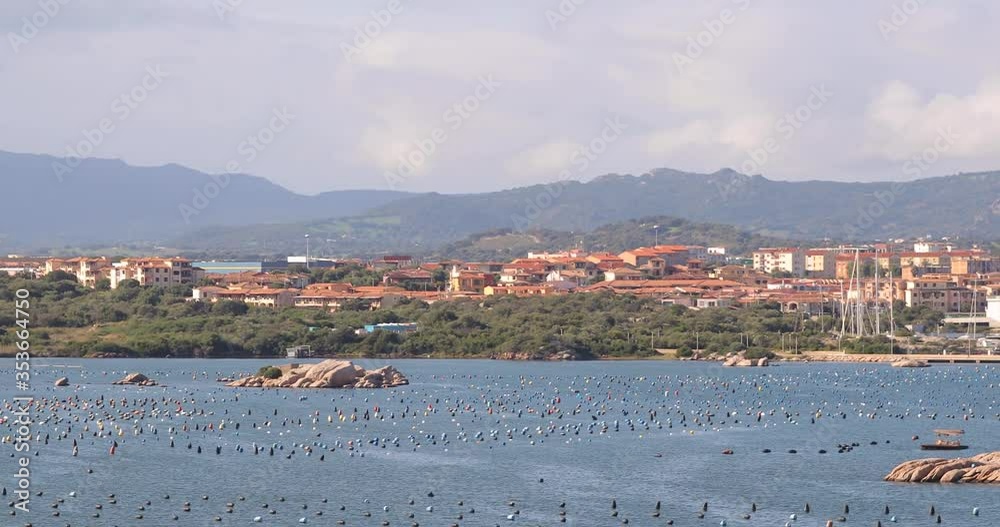 Aerial panning shot of the bay on the shores of the paradisiacal island of Sardinia full of colorful buoys and boats floating on the Mediterranean sea on a sunny day Aerial panning shot of the bay on the shores of the paradisiacal island of Sardinia full of colorful buoys and boats floating on the Mediterranean sea on a sunny day