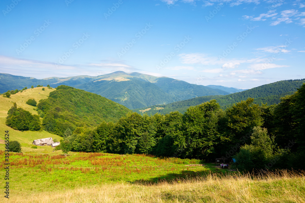 mountain landscape with green meadow on the hill. fluffy clouds on the blue sky above the distant ridge. wonderful summer weather. great views of carpathian countryside