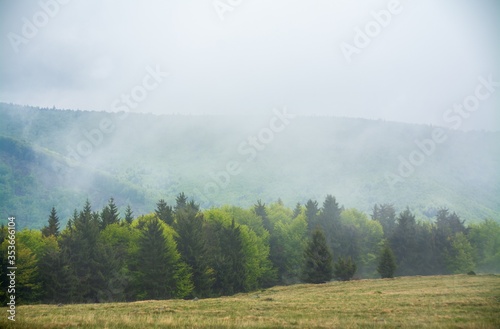 fog over the forest in a mountainous area