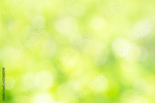 Sunny defocused green nature background, abstract bokeh effect es element for your design.