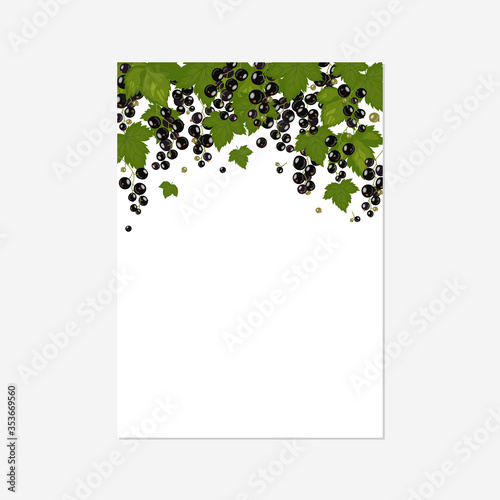 The leaves, branches and berries of black currant hang from top to bottom. Background for design cards, invitations and recipes.