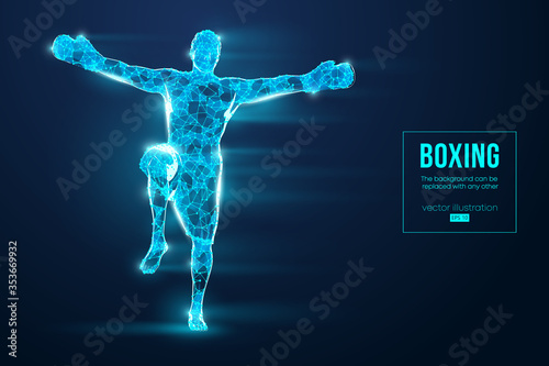 Abstract silhouette of a wireframe boxer fighter with boxing gloves on the blue background. Boxer is winner. Convenient organization of eps file. Vector illustration. Thanks for watching © matrosovv