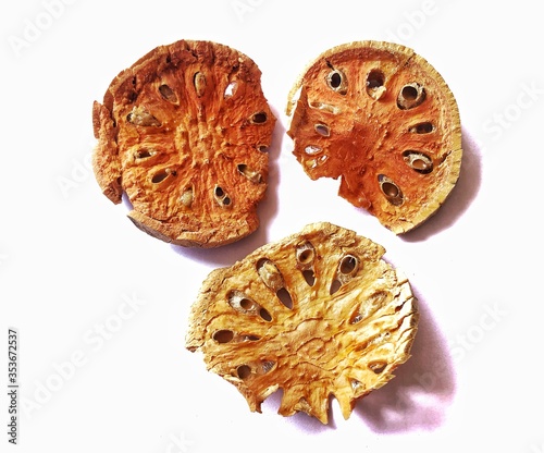the  Beal, Aegle marmelos is in the  RUTACEAE family