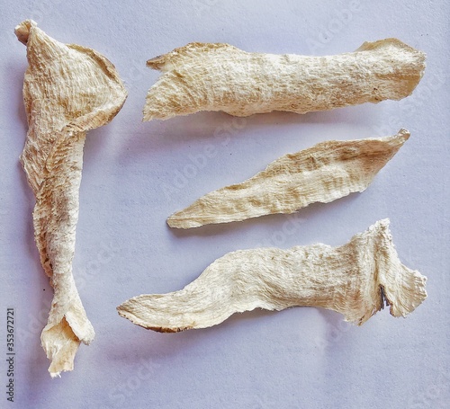 the Pueraria mirifica or  White kwao krua 