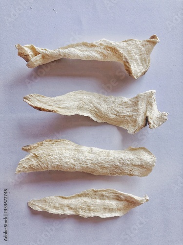 the Pueraria mirifica or  White kwao krua 