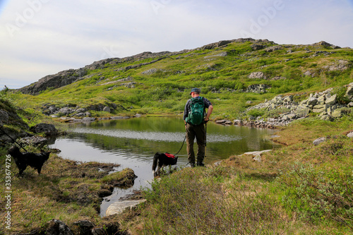 On a hike in the Velfjord and Bindal mountains, Nordland county photo