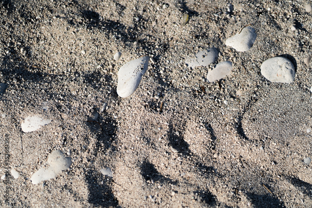 Sea shells and stones on sand. Summer beach background. Top view. Postcard. Horizontal Sea shells and stones on sand. Summer beach background. Top view. Postcard. Horizontal