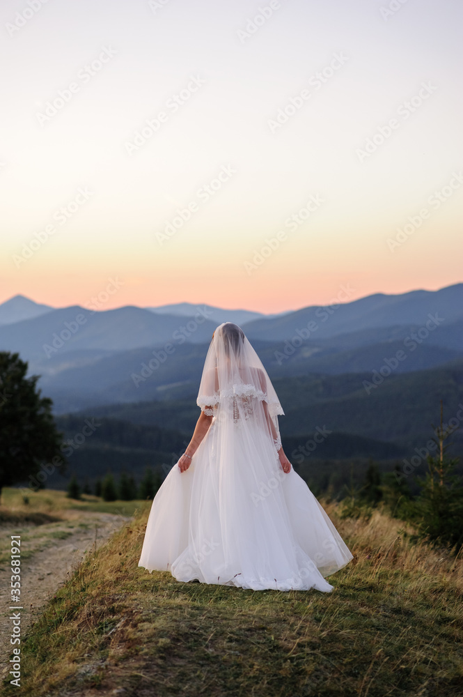 A lonely bride veiled by a veil looks at the sunset on a background of mountains. A woman is standing with her back. A lonely bride veiled by a veil looks at the sunset on a background of mountains. A woman is standing with her back.