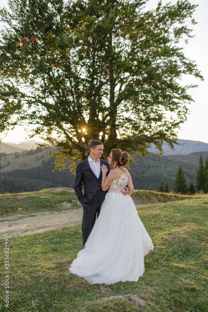 Wedding photography in the mountains. The newlyweds hug and look into each other's eyes against the background of a hundred-year-old beech.