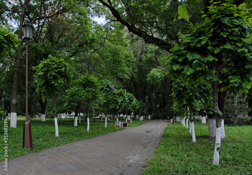 may Park, a dark, overcast alley with lanterns and benches. Spring landscape