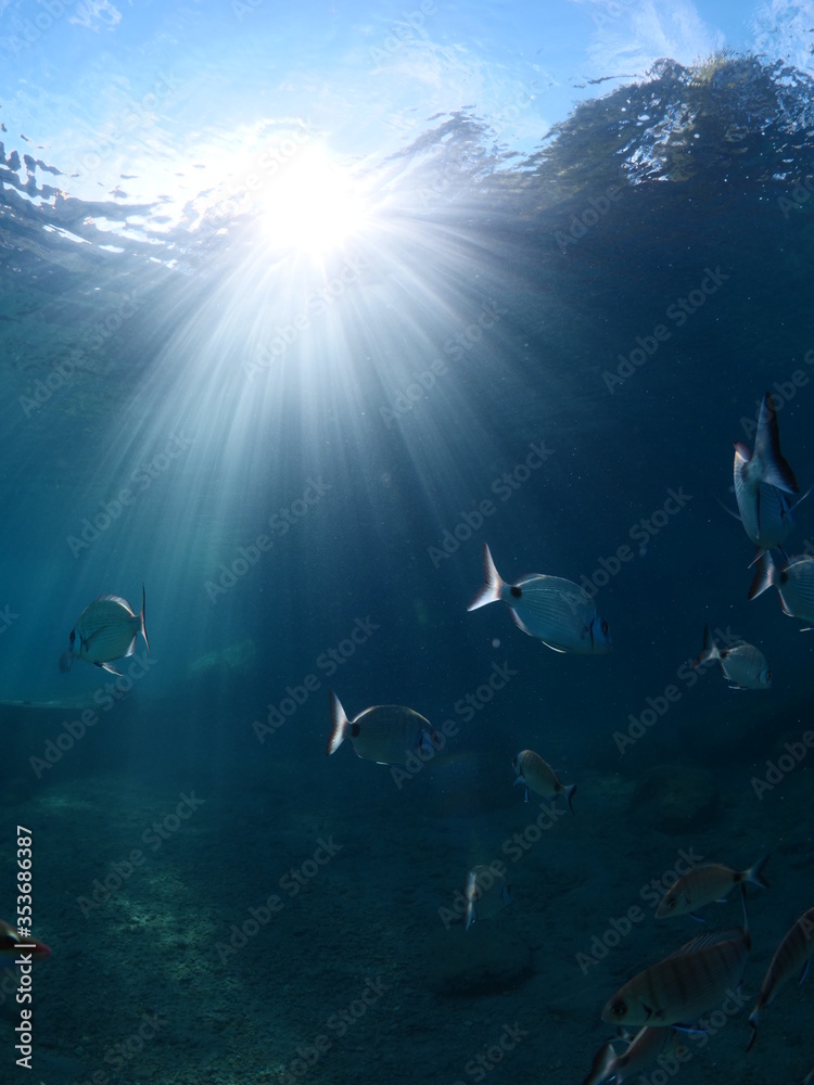 Fototapeta premium sun beams sun rays sun shine underwater nice light ocean scenery reflections