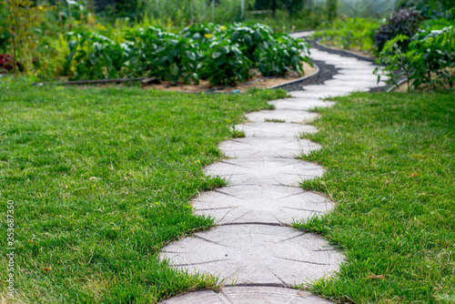 concrete stone path in vegetable garden