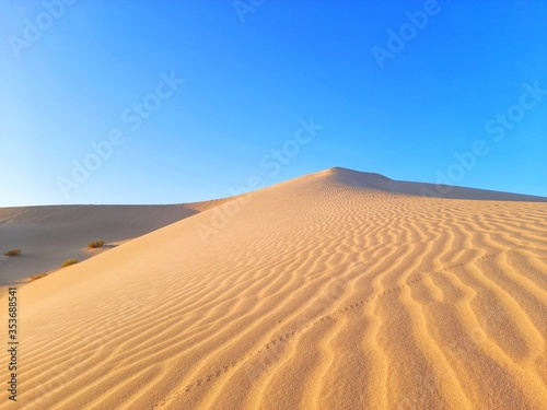 Sahara desert of Algeria