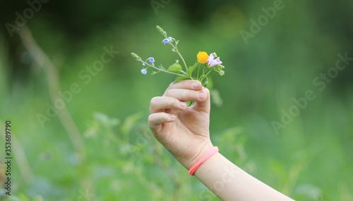 wild flowers bouquet in hand