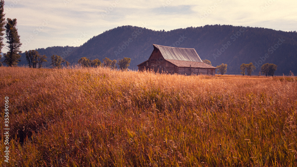 Mormon Row Grand Teton Nationalpark - scheune Mormon Row Grand Teton Nationalpark - scheune