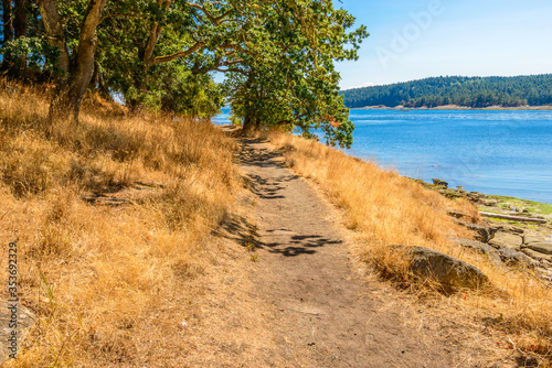 Fragment of lake view trail in Drumbeg park, Nanaimo, British Columbia, Canada. photo