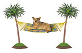 The beige dog is resting in a hammock between palm trees. White background. Isolated.