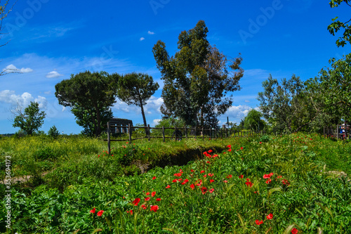 Roman suburb field landscape