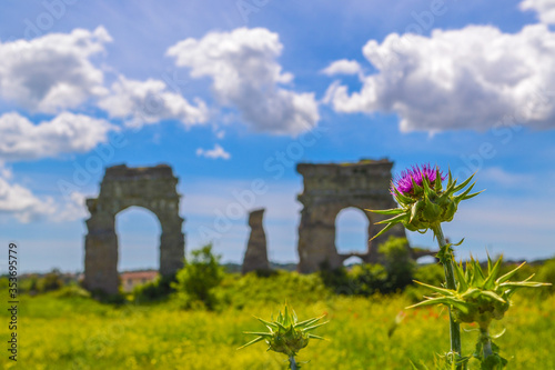 Field landscaped with the background of ancient Rome aqueducts . 