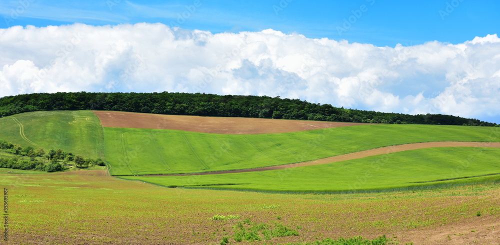 agricultural and farming landscape near town Brno in Czech republic
