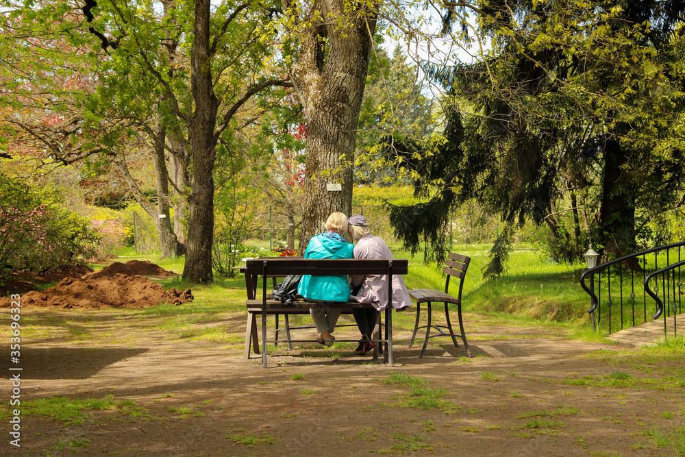 Senior women sit on a park bench with their backs. Old friends have a chat. 